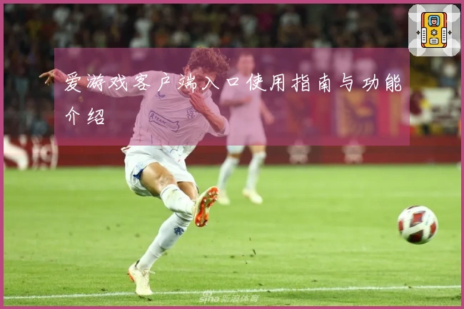 爱游戏客户端入口使用指南与功能介绍