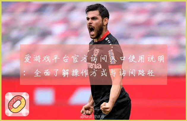 爱游戏平台官方访问入口使用说明：全面了解操作方式与访问路径