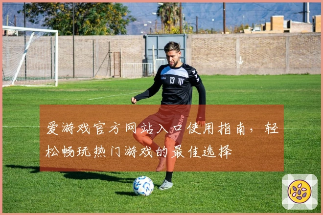 爱游戏官方网站入口使用指南，轻松畅玩热门游戏的最佳选择