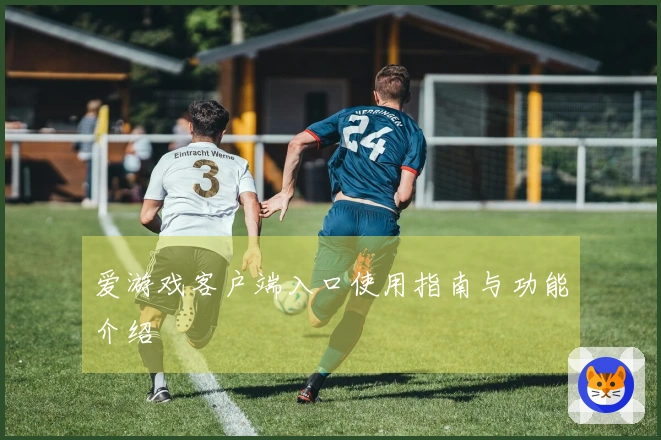 爱游戏客户端入口使用指南与功能介绍